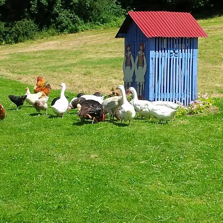Le En Bordure De Foret Holiday home Fallencourt